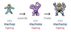 what lvl does machoke evolve|machoke evolution chart.